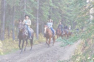 Girls on horse riding tour walking along forest trail