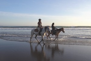 Two people with two horses riding along beach waves