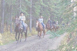 Girls on horses riding along trail in woods