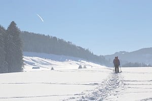 Person on snowshoe tour in mountains