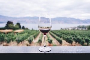 Wine glass with red wine sitting perched on bench overlooking wine grapes and lake in background