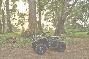 ATV parked in front of forest