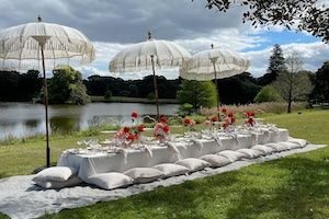 Beautiful arrangement of picnic table, cushions & decorations on green lawn