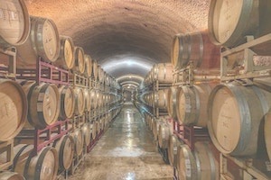 Corridor of barrels stacked in winery cellar